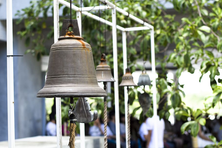 thailand, focus on foreground, plant, day, bell, no people HD wallpaper