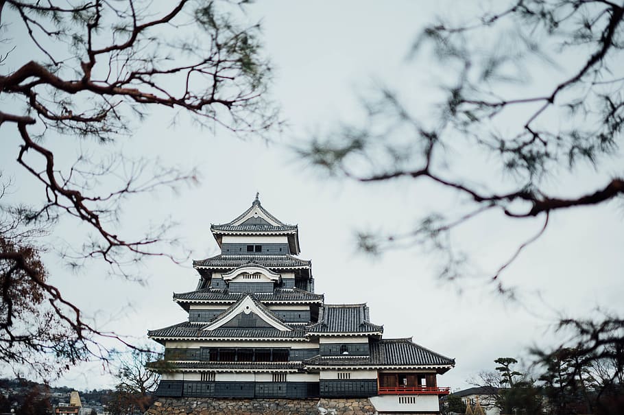 blue and white temple, architecture, building, shrine, worship HD wallpaper