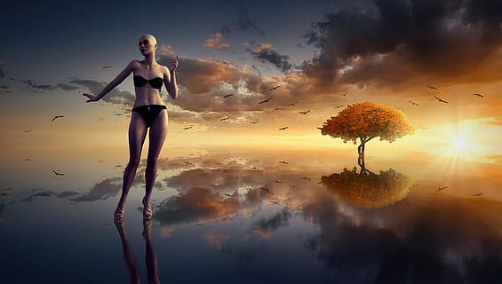 fantasy, sun, water, clouds, mirroring, tree, landscape, nature HD wallpaper