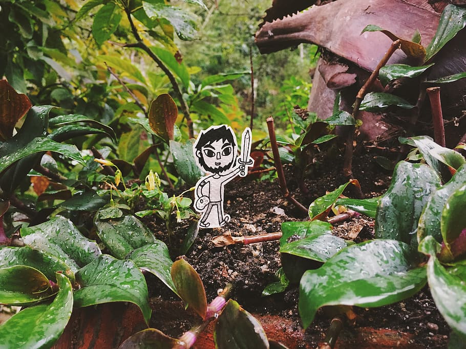 peru, cusco, paper, plants, green, toy, cartoon, leaf, plant part HD wallpaper