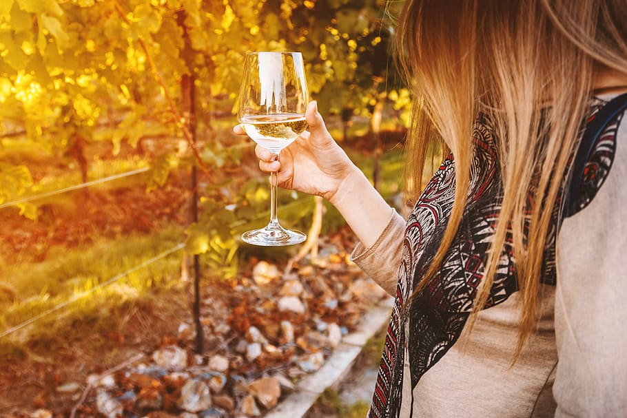 Young woman holding glass of white wine on the vineyard, food and drink HD wallpaper