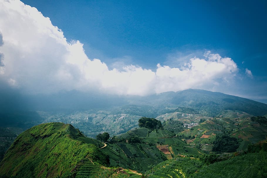 landscape, nature, rice fields, sky, mountain, terraces, clouds HD wallpaper