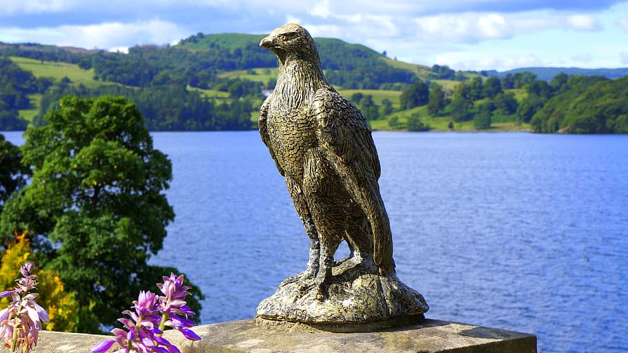 Brown Concrete Eagle Figurine Near Body of Water, clouds, daylight HD wallpaper