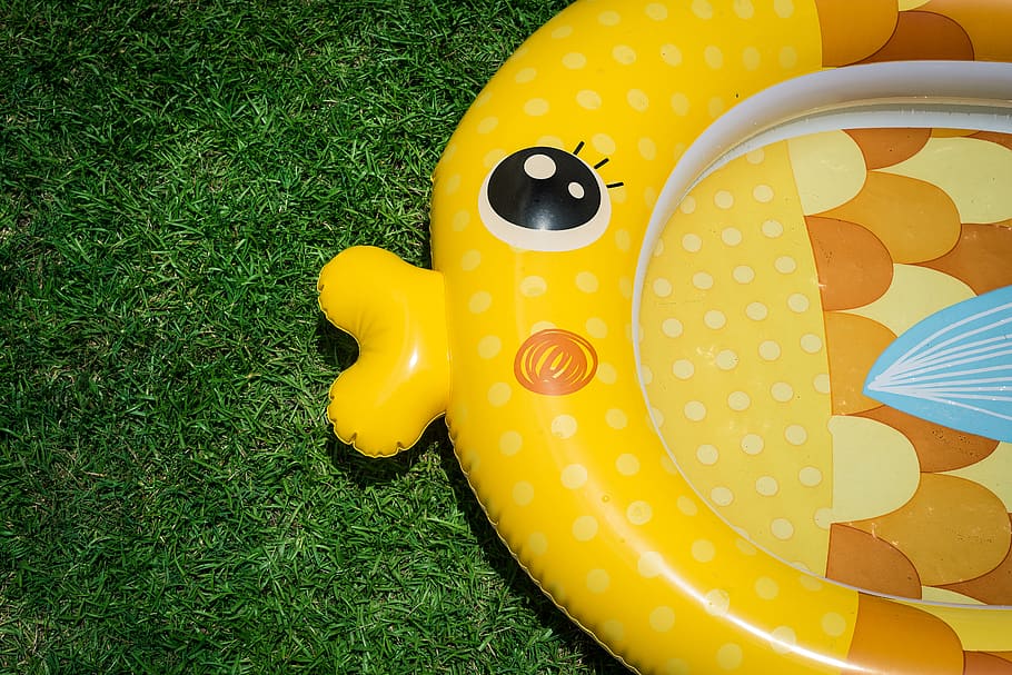 yellow fish inflatable, grass, high angle view, nature, no people HD wallpaper