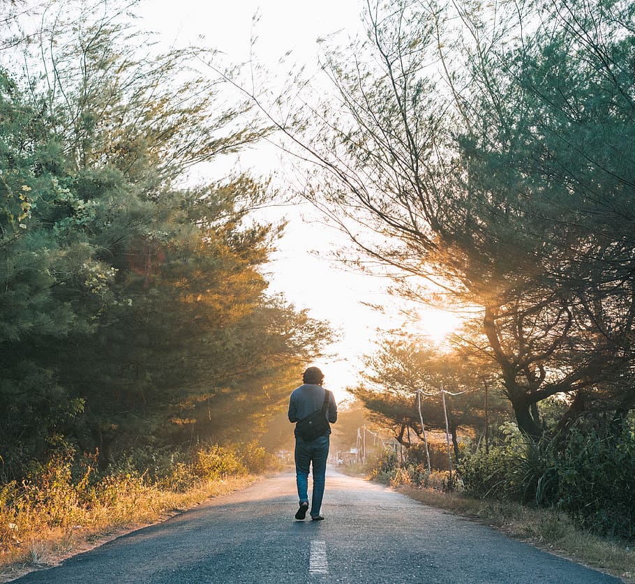 Man Walking on the Gray Asphalt Road, dawn, daylight, environment HD wallpaper
