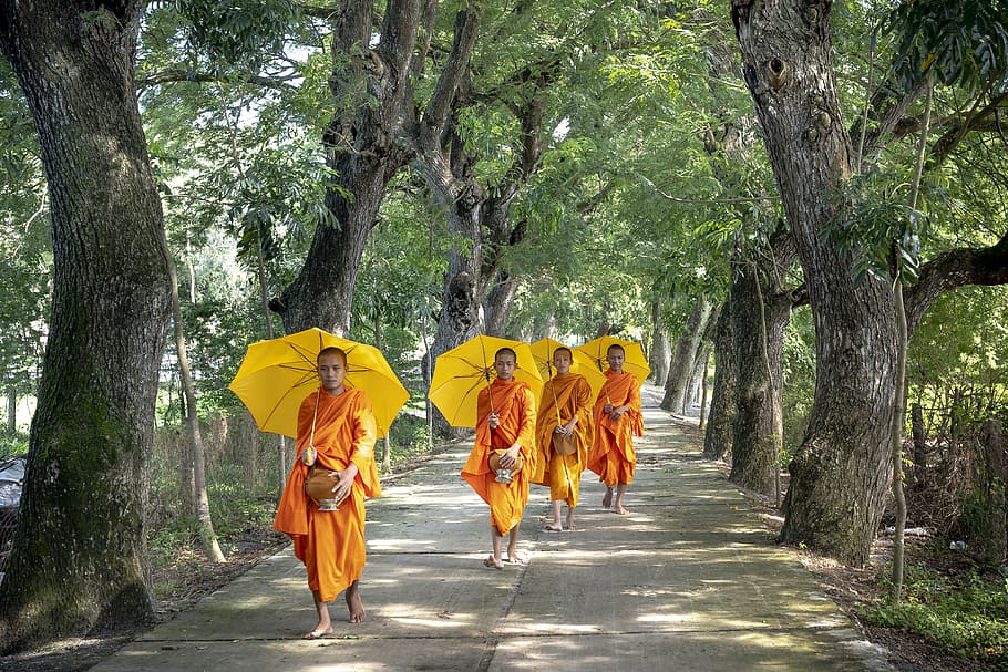 Four Men Walking on Road, branches, daylight, environment, footpath HD wallpaper