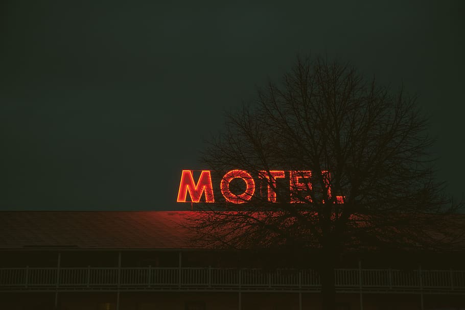brigham city, motel, travel, neon sign, text, illuminated, night, HD wallpaper