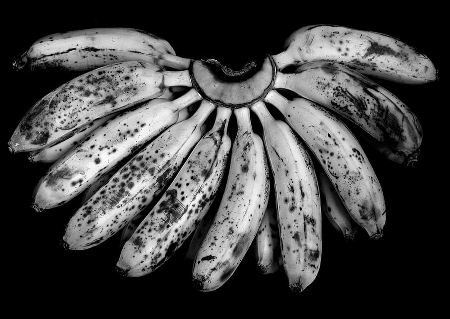 HD wallpaper: b and w, black and white, still life, fruit, banana, food ...