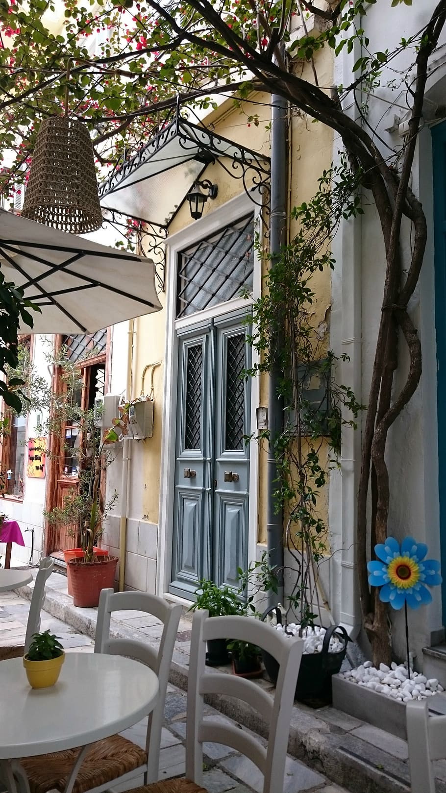 greece, ermoupoli, plant, architecture, built structure, building exterior HD wallpaper