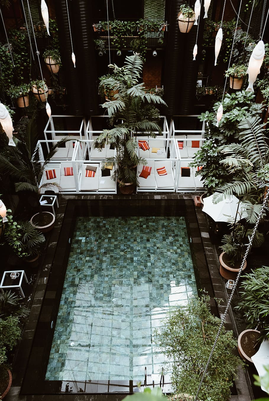 green-leafed plants near indoor fountain, pool, pool side, copenhagen HD wallpaper