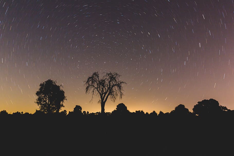 night, stars, galaxy, trees, plant, nature, silhouette, sky HD wallpaper