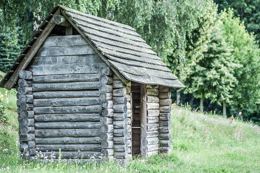 Brown Wooden Shed Near Trees, architecture, barn, blur, building HD wallpaper