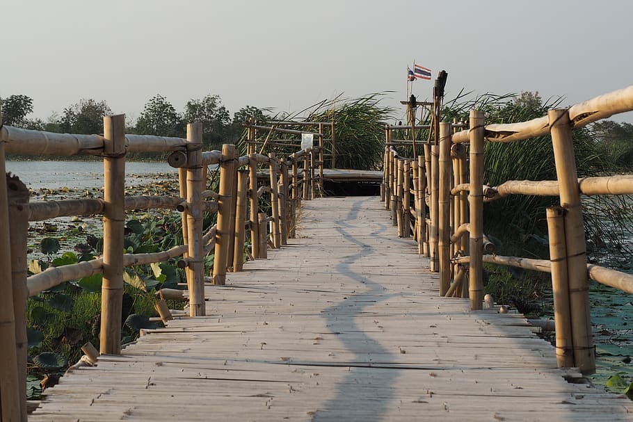bridge, swamp, nature, marsh, the landscape, wood - material HD wallpaper