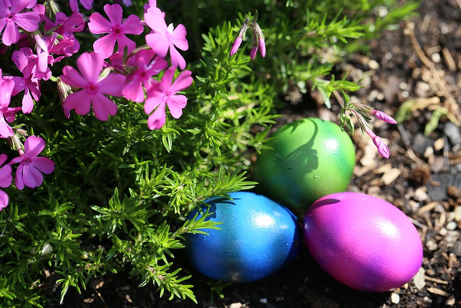 easter, easter eggs, colorful, colored, spring, easter nest HD wallpaper