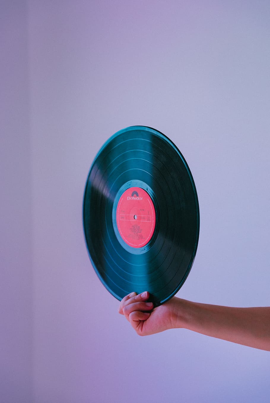 person holding vinyl record, hand, music, audio, minimal, album