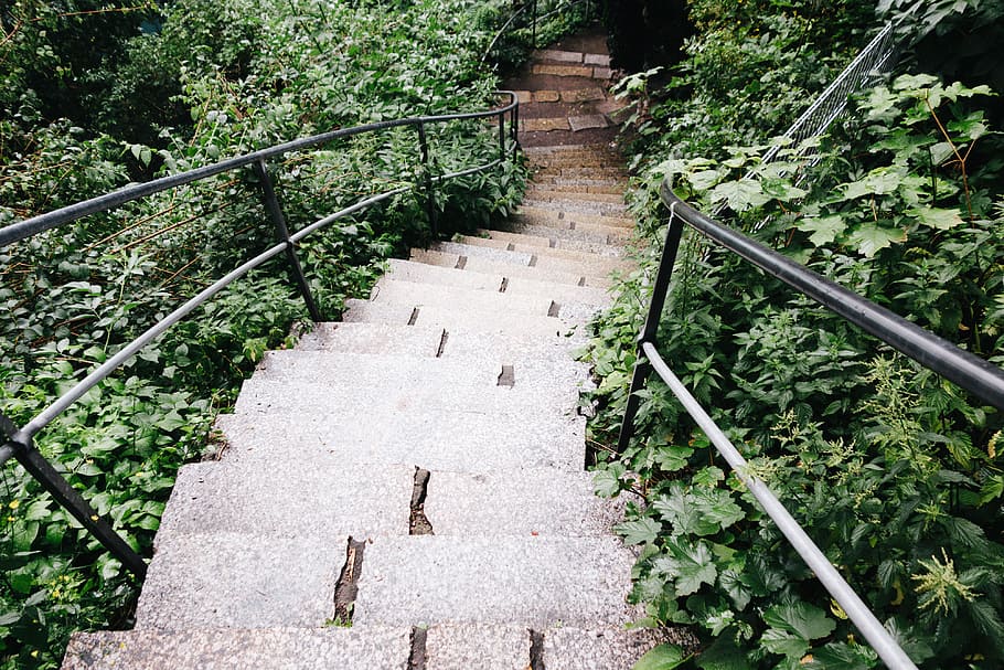 Staircase in park, green, hidden, movement, romantic, stairs HD wallpaper