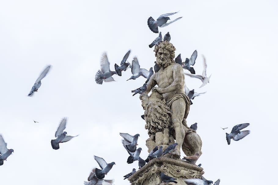 pigeons, statue, simple, birds, samson, sculpture, low angle view HD wallpaper