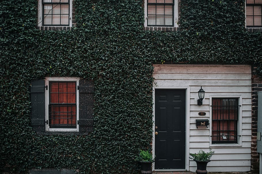 house, grass, plants, vase, window, glass, door, outside, lights HD wallpaper