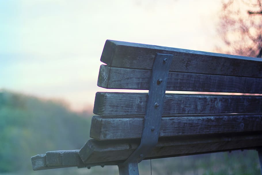wood, bench, park, focus on foreground, wood - material, sky HD wallpaper