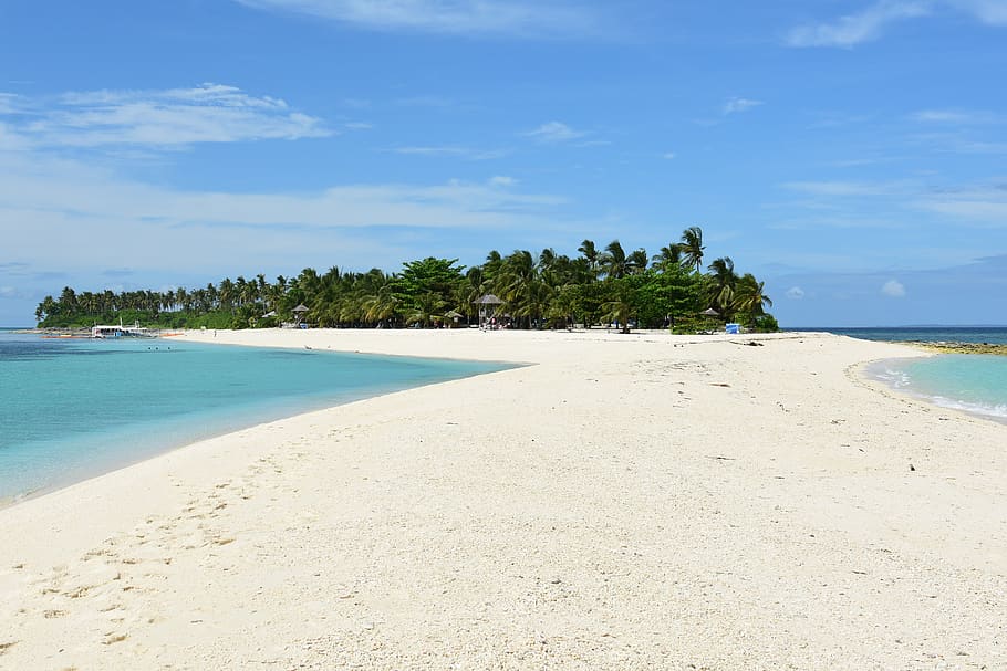 White Sandbars With Green Leaves Trees, beach, daytime, ocean HD wallpaper