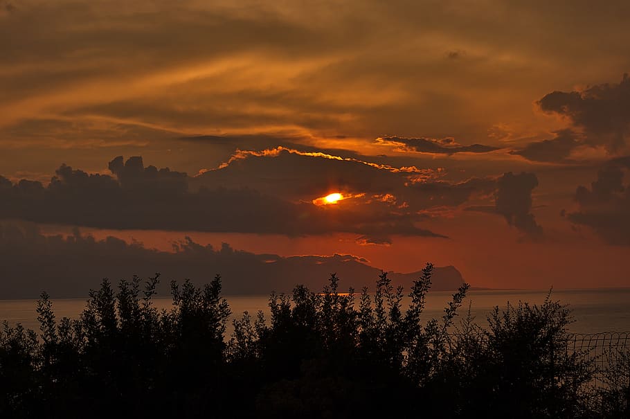 west, the sun, sicily, sky, sunset, tree, cloud - sky, beauty in nature HD wallpaper
