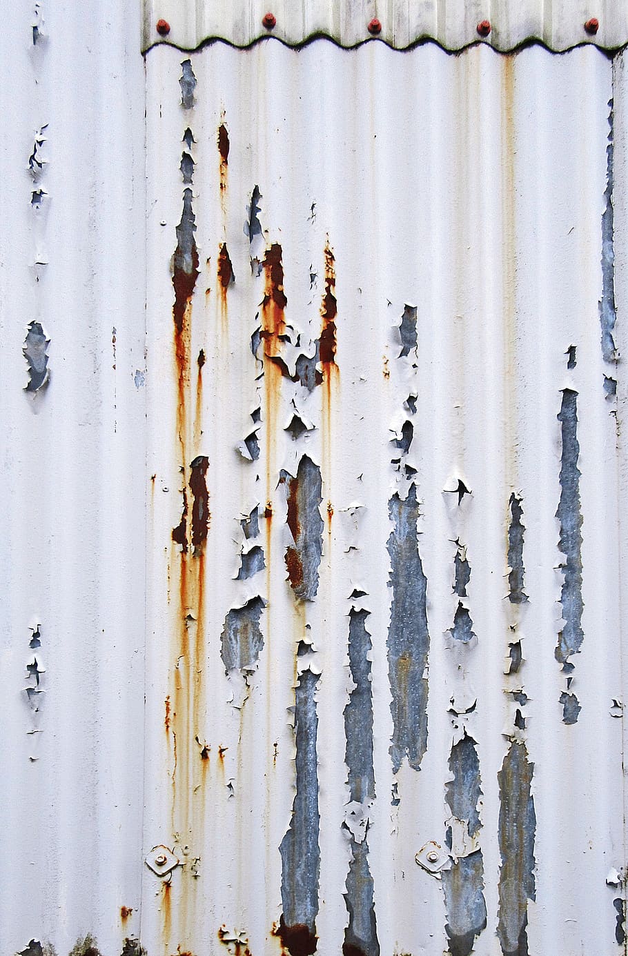 rust, animal, bird, stain, steel, texture, hole, wall, paper, HD wallpaper