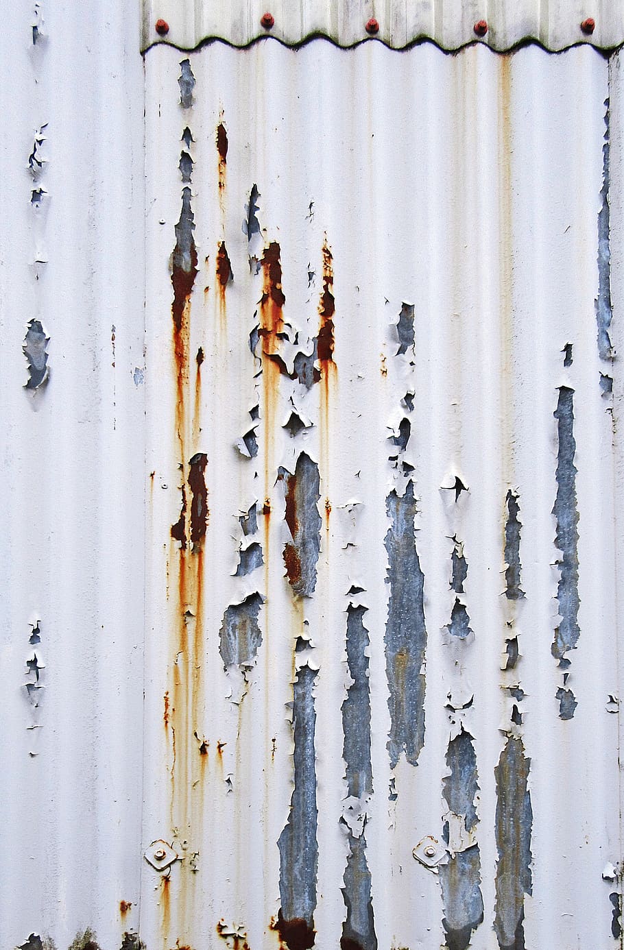 rust, animal, bird, stain, steel, texture, hole, wall, paper HD wallpaper