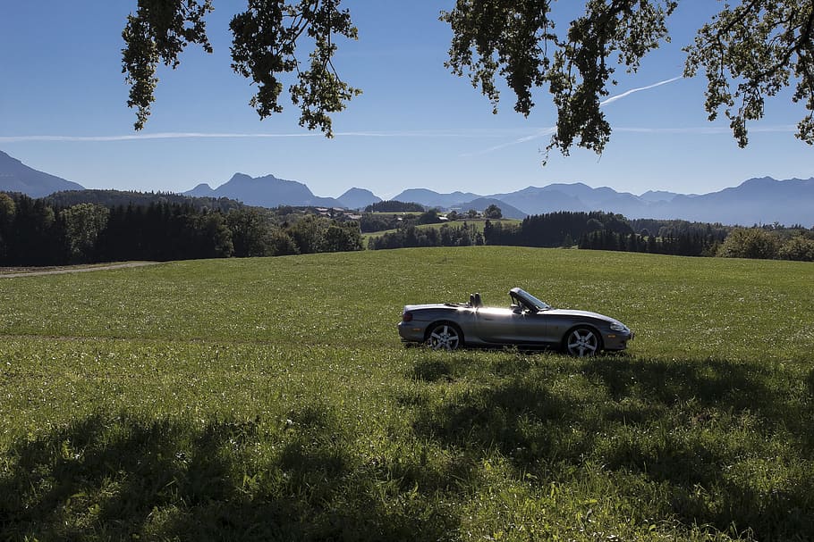 cabriolet, convertible, vehicle, auto, automotive, classic HD wallpaper
