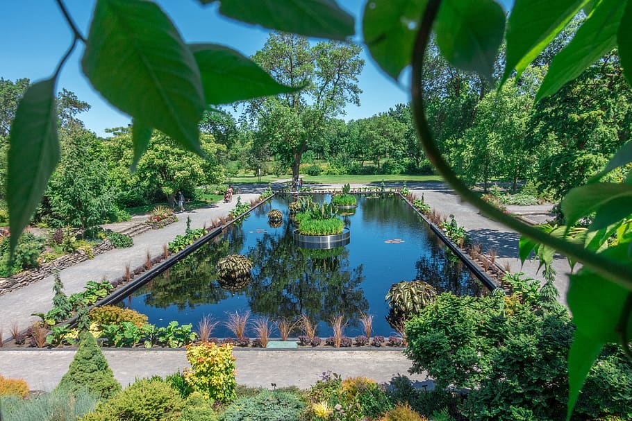 montreal, canada, shrubs, park, water, botanical garden, grass HD wallpaper