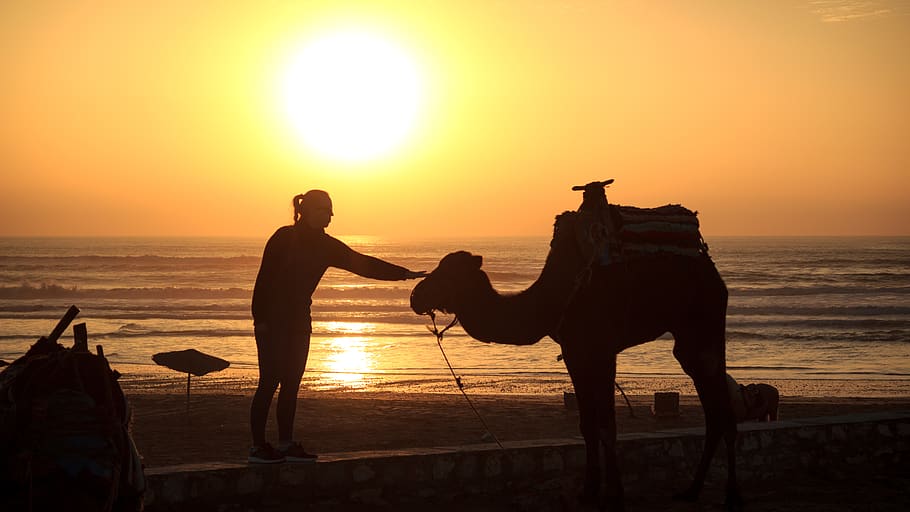 morocco, sunset, dusk, evening, water, ocean, sea, waves, shore HD wallpaper