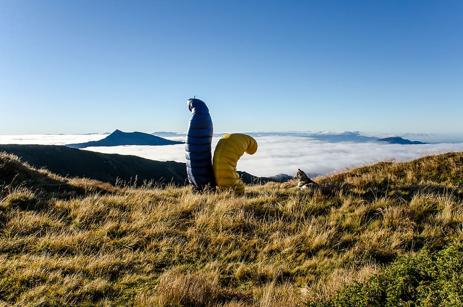 grass fields under blue sky, person, human, people, romania, adventure HD wallpaper