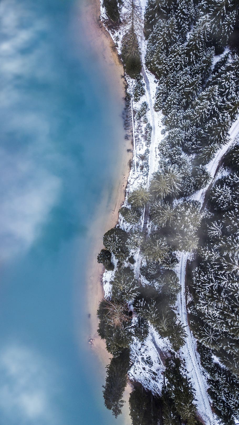 high-angle view of pine trees, water, scenics - nature, beauty in nature HD wallpaper