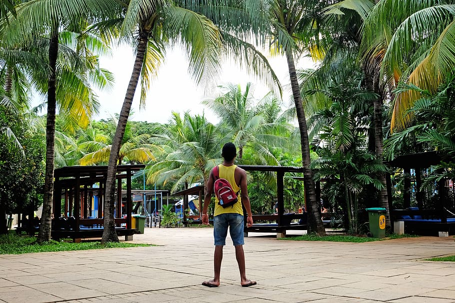 Photo of Man Wearing Bag, calm, coconut trees, guy, idyllic, leisure HD wallpaper