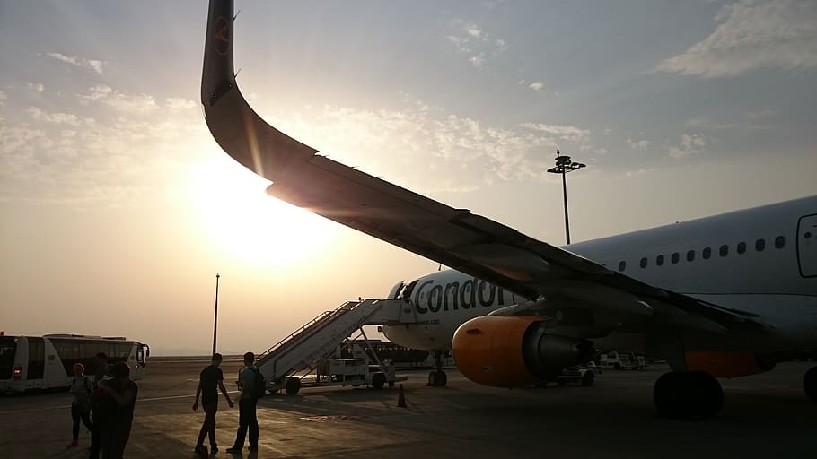 plane, egypt, fly, away, voyage, travel, condor, sun, summer HD wallpaper