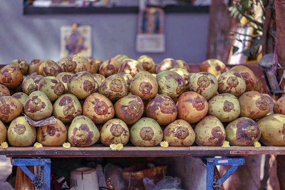 coconut fruits, plant, produce, food, vegetable, turnip, figurine HD wallpaper