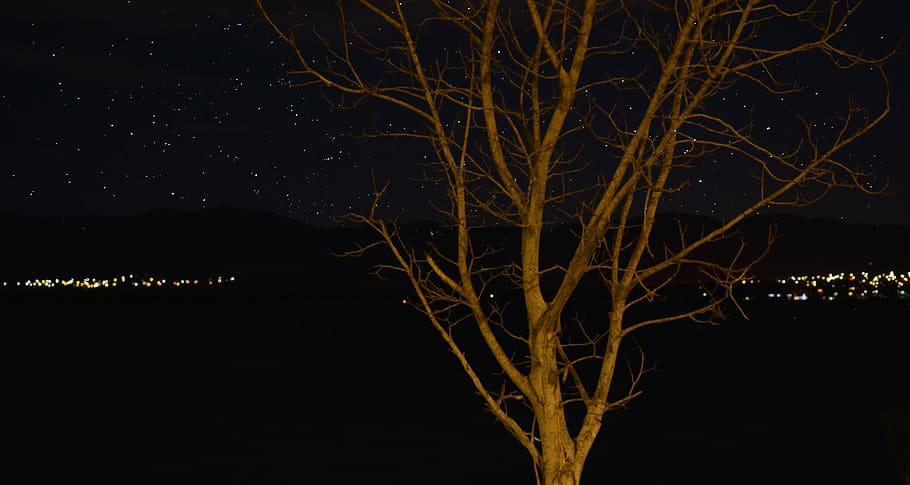 greece, doirani, dark, night, trees, lights, lake, stars, illuminated HD wallpaper