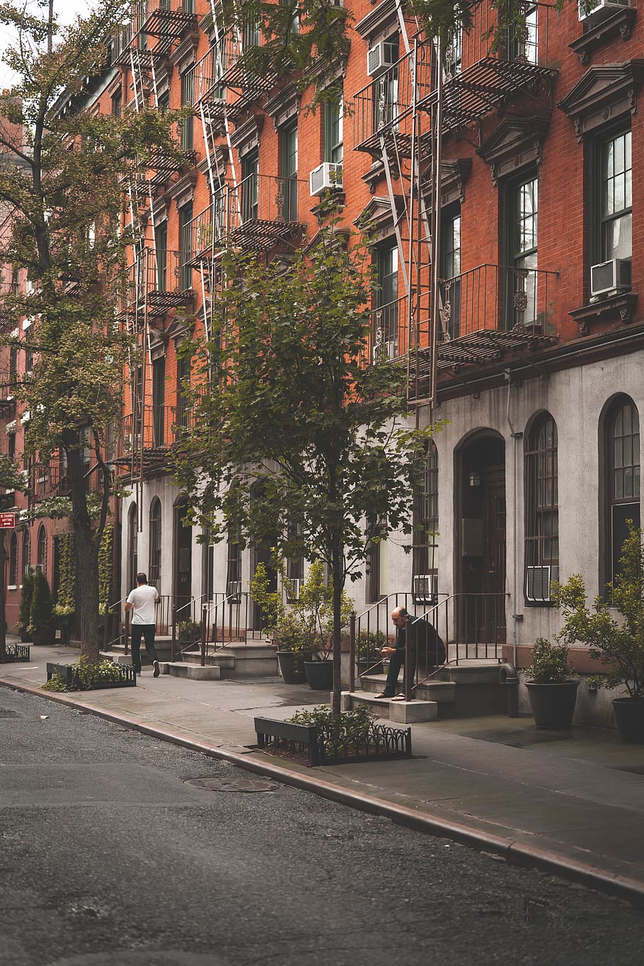 green-leafed tree beside building, person, human, urban, town HD wallpaper