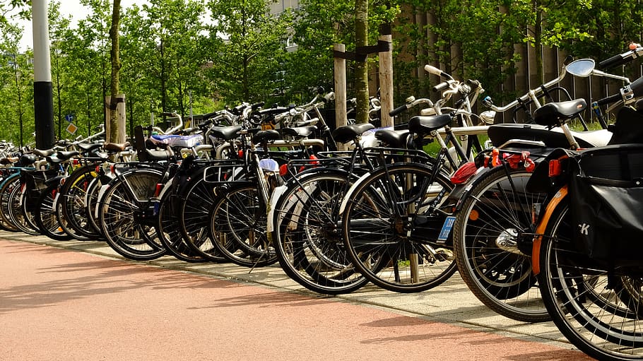 netherlands, amsterdam, bikes, bycicle, sustainability, green HD wallpaper