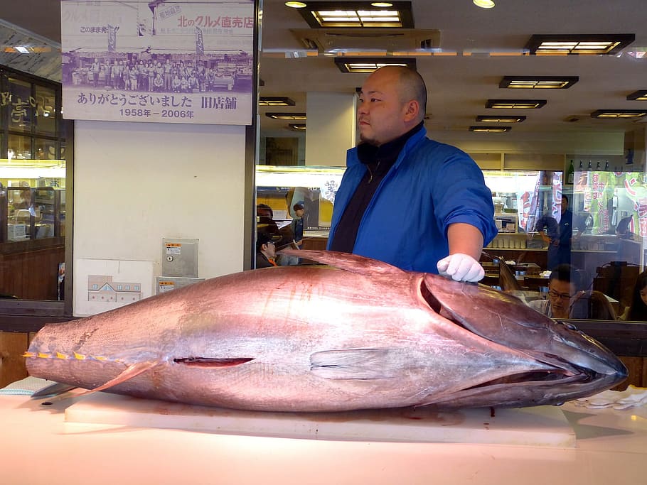 fish, slice, sliced, food, restaurant, human, activity, job HD wallpaper