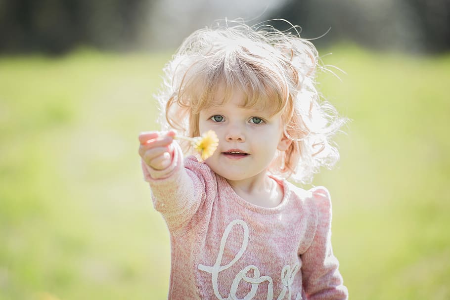 child, toddler, cute, blonde, flower, dandelion, childhood HD wallpaper