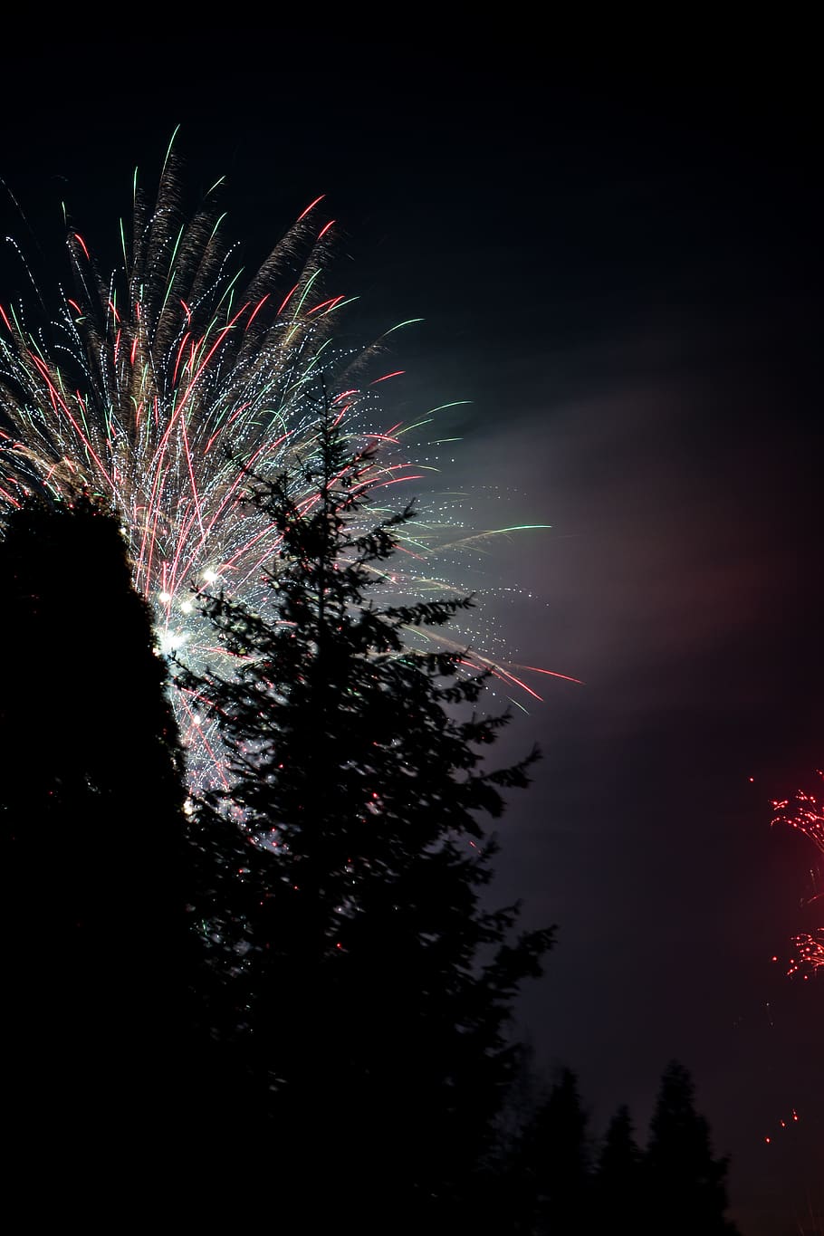 trees under fireworks, nature, outdoors, night, riederich, germany HD wallpaper