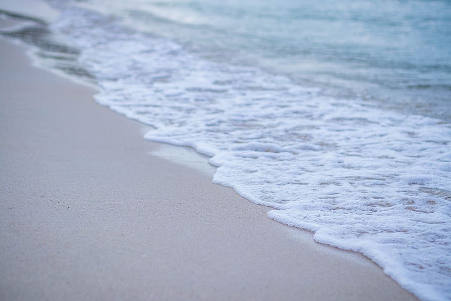 Closeup Photo of Seashore, beach, close -up, daytime, landscape HD wallpaper
