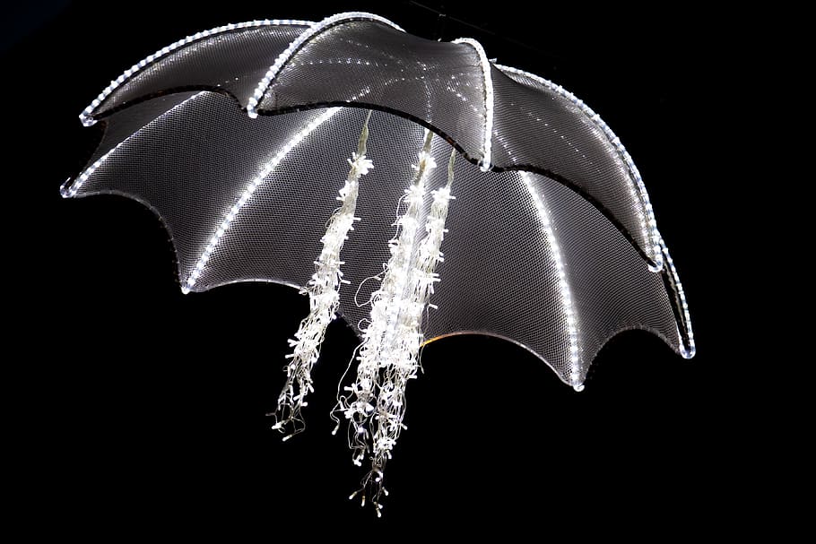white and black umbrella, black background, studio shot, no people HD wallpaper
