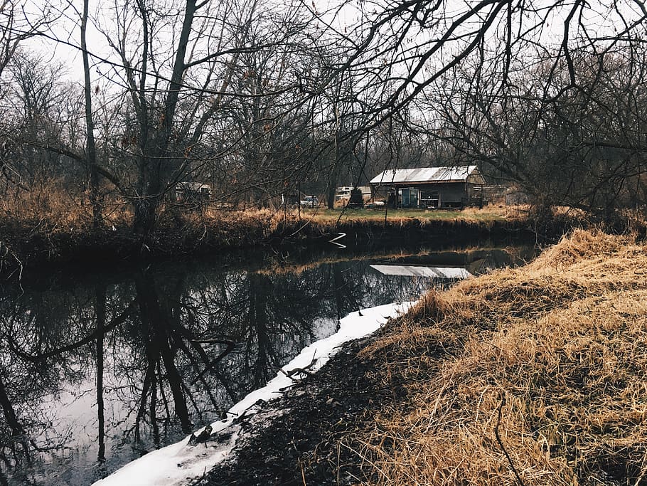 hunting, woods, forest, archery, cold, river, stream, illinois HD wallpaper