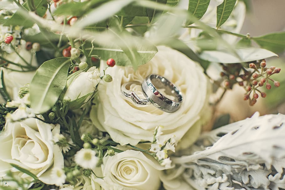 silver-colored ring on white rose flower\, plant, art, graphics HD wallpaper