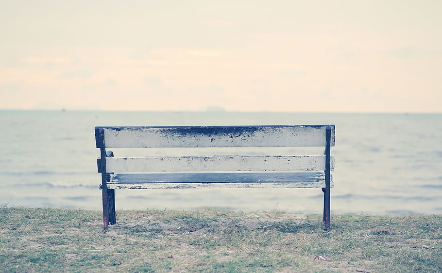 park, bench, beach, sea, wood, worn, vintage, chair, grass HD wallpaper