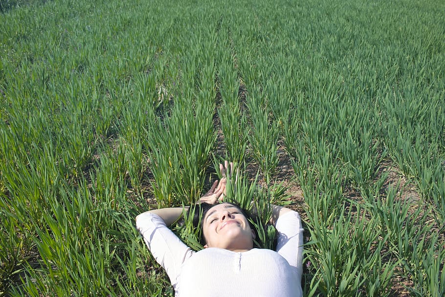 Woman Laying on Field of Green Grass, beautiful, crop, daylight HD wallpaper