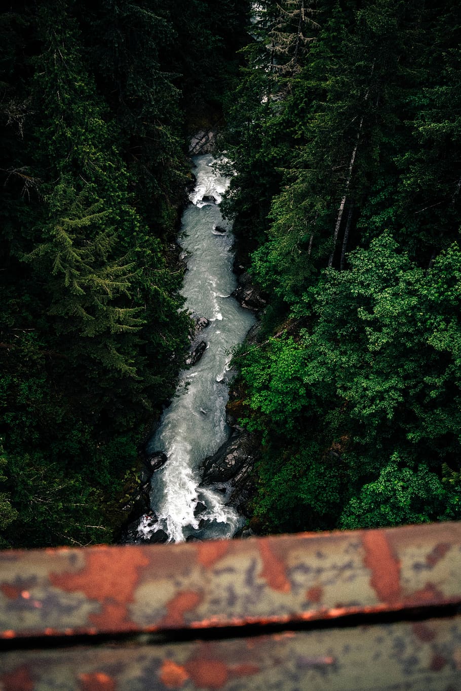 river between forest, water, outdoors, stream, nature, tree, waterfall HD wallpaper