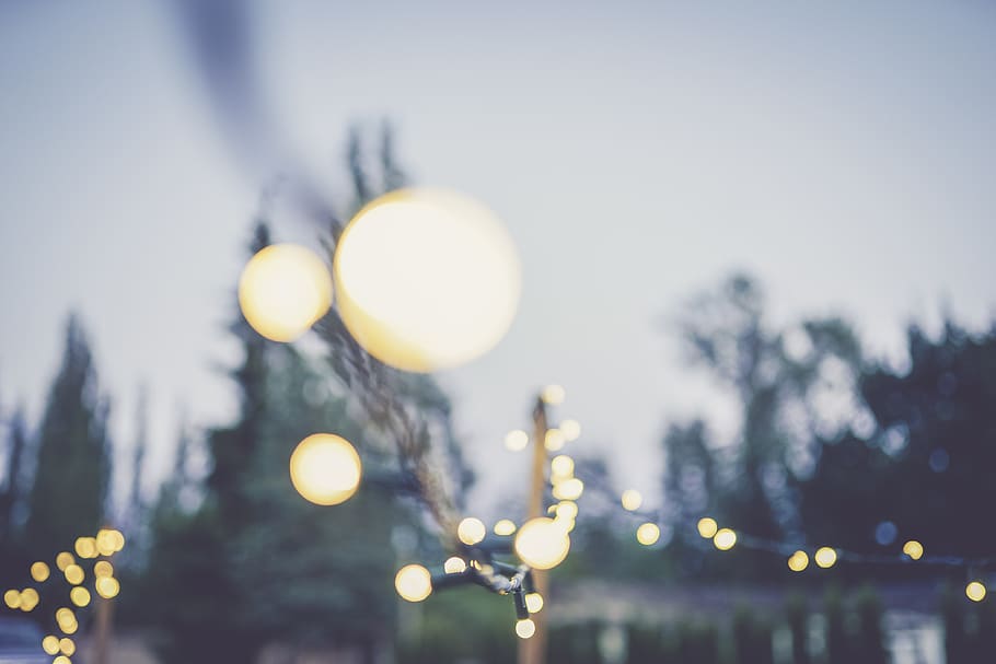canada, langley, blur, wedding, string, summer, event, lights HD wallpaper