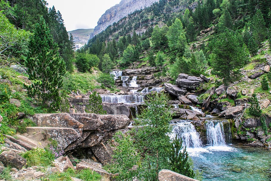 trees, river, forest, green, stones, mountain, landscape, ordesa HD wallpaper